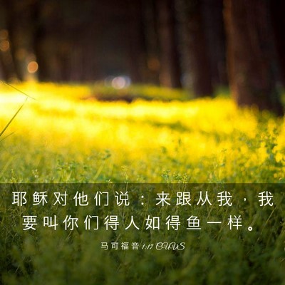Picture 03 - 马 可 福 音 1:17 CUVS - 耶 稣 对 他 们 说 ： 来 跟 从 我 ， - Bible Verse Picture
