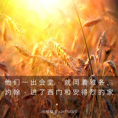 Picture 03 - 马 可 福 音 1:29 CUVS - 他 们 一 出 会 堂 ， 就 同 着 雅 各 - Bible Verse Picture