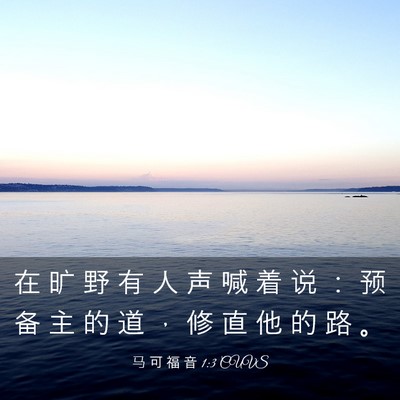 Picture 03 - 马 可 福 音 1:3 CUVS - 在 旷 野 有 人 声 喊 着 说 ： 预 备 - Bible Verse Picture