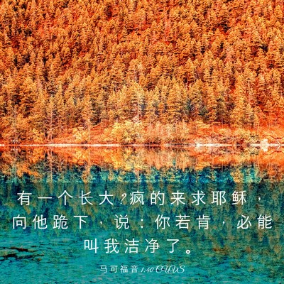 Picture 03 - 马 可 福 音 1:40 CUVS - 有 一 个 长 大 ? 疯 的 来 求 耶 稣 ， - Bible Verse Picture