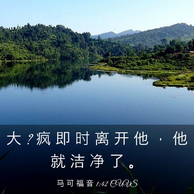 Picture 03 - 马 可 福 音 1:42 CUVS - 大 ? 疯 即 时 离 开 他 ， 他 就 洁 净 - Bible Verse Picture
