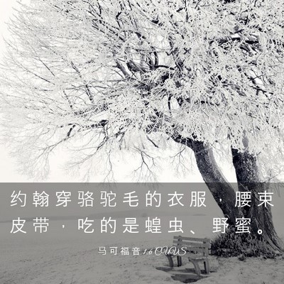 Picture 03 - 马 可 福 音 1:6 CUVS - 约 翰 穿 骆 驼 毛 的 衣 服 ， 腰 束 - Bible Verse Picture