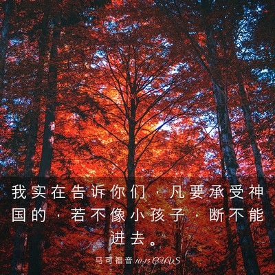 Picture 03 - 马 可 福 音 10:15 CUVS - 我 实 在 告 诉 你 们 ， 凡 要 承 受 - Bible Verse Picture