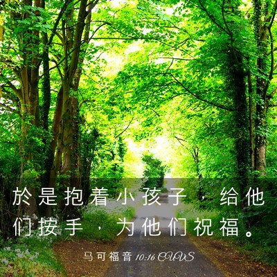 Picture 03 - 马 可 福 音 10:16 CUVS - 於 是 抱 着 小 孩 子 ， 给 他 们 按 - Bible Verse Picture