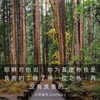 Picture 03 - 马 可 福 音 10:18 CUVS - 耶 稣 对 他 说 ： 你 为 甚 麽 称 我 - Bible Verse Picture
