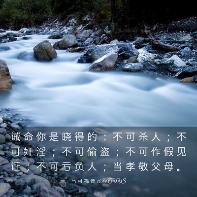 Picture 03 - 马 可 福 音 10:19 CUVS - 诫 命 你 是 晓 得 的 ： 不 可 杀 人 - Bible Verse Picture