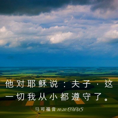 Picture 03 - 马 可 福 音 10:20 CUVS - 他 对 耶 稣 说 ： 夫 子 ， 这 一 切 - Bible Verse Picture