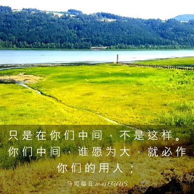 Picture 03 - 马 可 福 音 10:43 CUVS - 只 是 在 你 们 中 间 ， 不 是 这 样 - Bible Verse Picture
