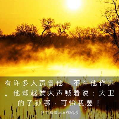 Picture 03 - 马 可 福 音 10:48 CUVS - 有 许 多 人 责 备 他 ， 不 许 他 作 - Bible Verse Picture