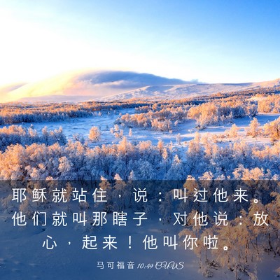 Picture 03 - 马 可 福 音 10:49 CUVS - 耶 稣 就 站 住 ， 说 ： 叫 过 他 来 - Bible Verse Picture