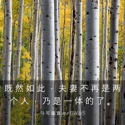 Picture 03 - 马 可 福 音 10:8 CUVS - 既 然 如 此 ， 夫 妻 不 再 是 两 个 - Bible Verse Picture