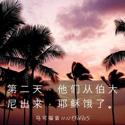 Picture 03 - 马 可 福 音 11:12 CUVS - 第 二 天 ， 他 们 从 伯 大 尼 出 来 - Bible Verse Picture