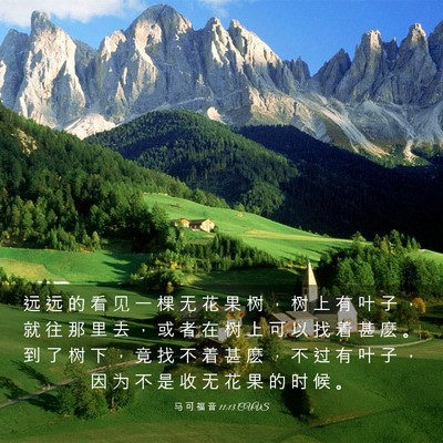 Picture 03 - 马 可 福 音 11:13 CUVS - 远 远 的 看 见 一 棵 无 花 果 树 ， - Bible Verse Picture