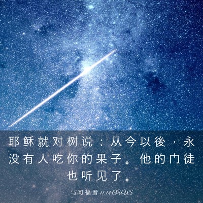 Picture 03 - 马 可 福 音 11:14 CUVS - 耶 稣 就 对 树 说 ： 从 今 以 後 ， - Bible Verse Picture