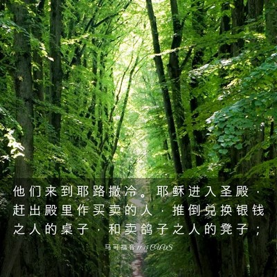 Picture 03 - 马 可 福 音 11:15 CUVS - 他 们 来 到 耶 路 撒 冷 。 耶 稣 进 - Bible Verse Picture