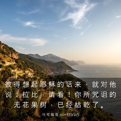 Picture 03 - 马 可 福 音 11:21 CUVS - 彼 得 想 起 耶 稣 的 话 来 ， 就 对 - Bible Verse Picture