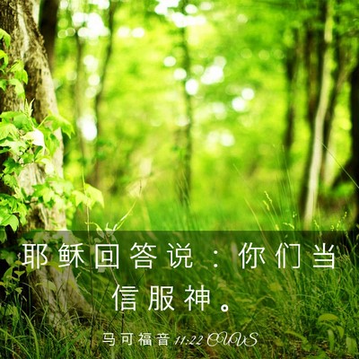 Picture 03 - 马 可 福 音 11:22 CUVS - 耶 稣 回 答 说 ： 你 们 当 信 服 神 - Bible Verse Picture