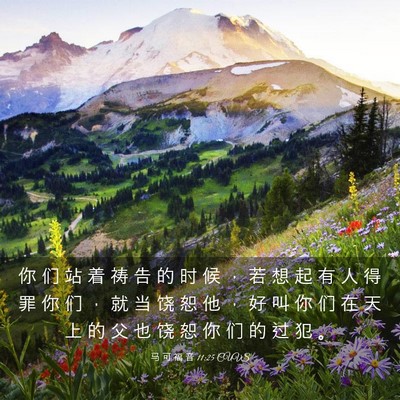 Picture 03 - 马 可 福 音 11:25 CUVS - 你 们 站 着 祷 告 的 时 候 ， 若 想 - Bible Verse Picture