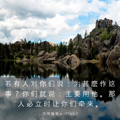 Picture 03 - 马 可 福 音 11:3 CUVS - 若 有 人 对 你 们 说 ： 为 甚 麽 作 - Bible Verse Picture