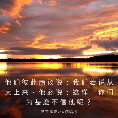 Picture 03 - 马 可 福 音 11:31 CUVS - 他 们 彼 此 商 议 说 ： 我 们 若 说 - Bible Verse Picture
