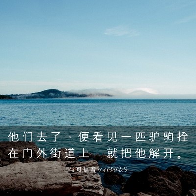 Picture 03 - 马 可 福 音 11:4 CUVS - 他 们 去 了 ， 便 看 见 一 匹 驴 驹 - Bible Verse Picture