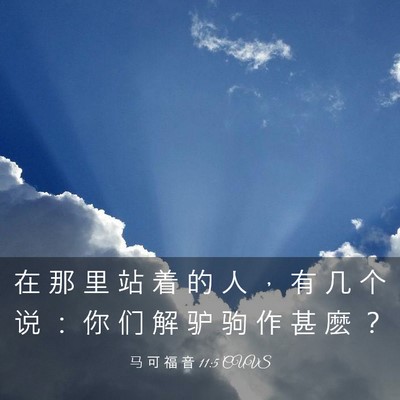 Picture 03 - 马 可 福 音 11:5 CUVS - 在 那 里 站 着 的 人 ， 有 几 个 说 - Bible Verse Picture