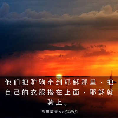 Picture 03 - 马 可 福 音 11:7 CUVS - 他 们 把 驴 驹 牵 到 耶 稣 那 里 ， - Bible Verse Picture