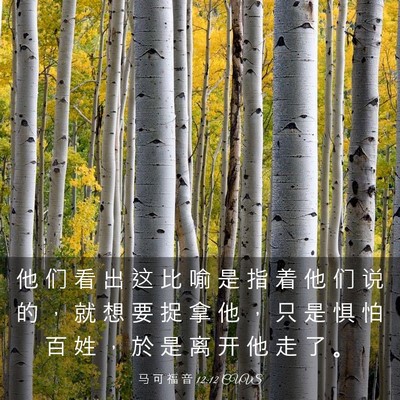 Picture 03 - 马 可 福 音 12:12 CUVS - 他 们 看 出 这 比 喻 是 指 着 他 们 - Bible Verse Picture