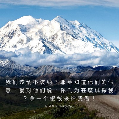 Picture 03 - 马 可 福 音 12:15 CUVS - 我 们 该 纳 不 该 纳 ？ 耶 稣 知 道 - Bible Verse Picture