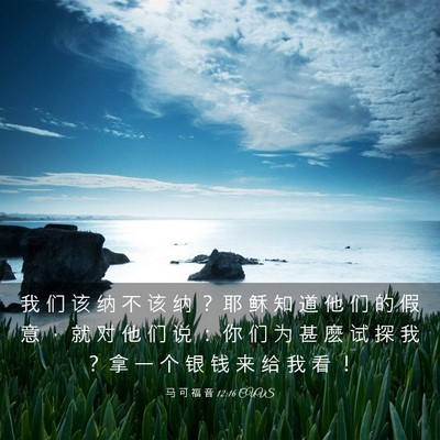 Picture 03 - 马 可 福 音 12:16 CUVS - 我 们 该 纳 不 该 纳 ？ 耶 稣 知 道 - Bible Verse Picture