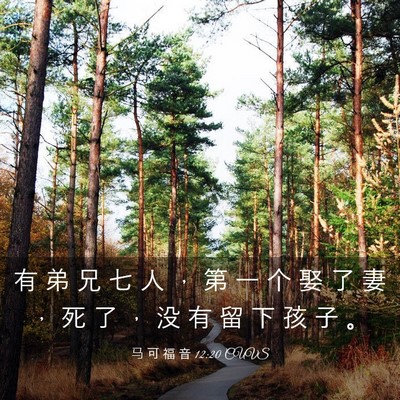 Picture 03 - 马 可 福 音 12:20 CUVS - 有 弟 兄 七 人 ， 第 一 个 娶 了 妻 - Bible Verse Picture