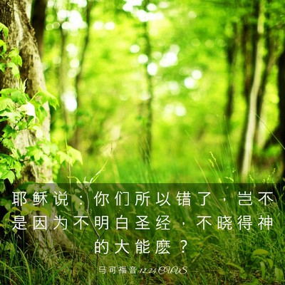 Picture 03 - 马 可 福 音 12:24 CUVS - 耶 稣 说 ： 你 们 所 以 错 了 ， 岂 - Bible Verse Picture