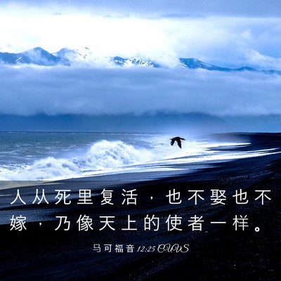 Picture 03 - 马 可 福 音 12:25 CUVS - 人 从 死 里 复 活 ， 也 不 娶 也 不 - Bible Verse Picture