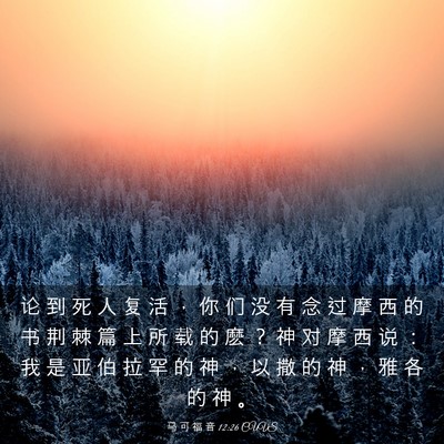 Picture 03 - 马 可 福 音 12:26 CUVS - 论 到 死 人 复 活 ， 你 们 没 有 念 - Bible Verse Picture