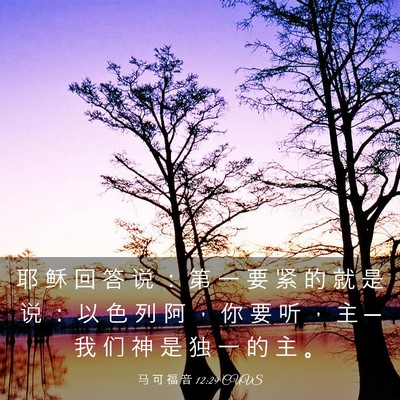 Picture 03 - 马 可 福 音 12:29 CUVS - 耶 稣 回 答 说 ： 第 一 要 紧 的 就 - Bible Verse Picture