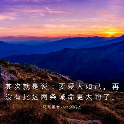 Picture 03 - 马 可 福 音 12:31 CUVS - 其 次 就 是 说 ： 要 爱 人 如 己 。 - Bible Verse Picture