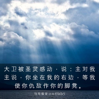 Picture 03 - 马 可 福 音 12:36 CUVS - 大 卫 被 圣 灵 感 动 ， 说 ： 主 对 - Bible Verse Picture