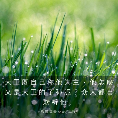 Picture 03 - 马 可 福 音 12:37 CUVS - 大 卫 既 自 己 称 他 为 主 ， 他 怎 - Bible Verse Picture