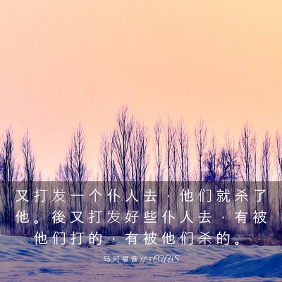 Picture 03 - 马 可 福 音 12:5 CUVS - 又 打 发 一 个 仆 人 去 ， 他 们 就 - Bible Verse Picture