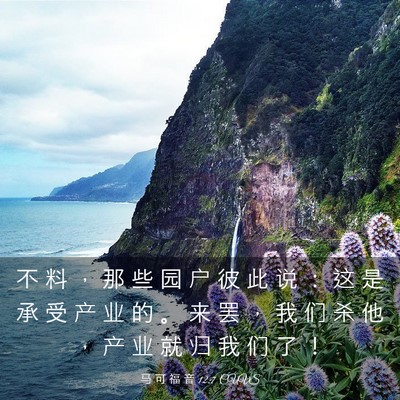 Picture 03 - 马 可 福 音 12:7 CUVS - 不 料 ， 那 些 园 户 彼 此 说 ： 这 - Bible Verse Picture