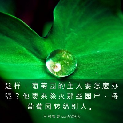 Picture 03 - 马 可 福 音 12:9 CUVS - 这 样 ， 葡 萄 园 的 主 人 要 怎 麽 - Bible Verse Picture