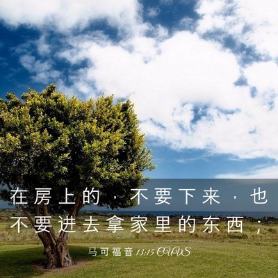 Picture 03 - 马 可 福 音 13:15 CUVS - 在 房 上 的 ， 不 要 下 来 ， 也 不 - Bible Verse Picture
