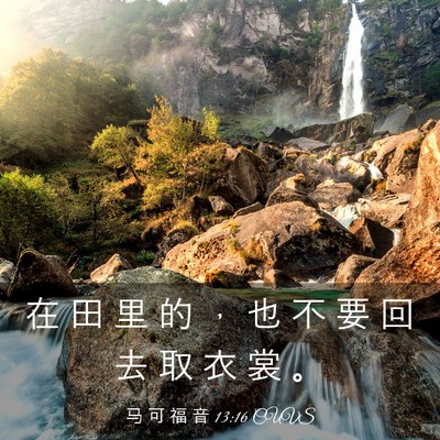 Picture 03 - 马 可 福 音 13:16 CUVS - 在 田 里 的 ， 也 不 要 回 去 取 衣 - Bible Verse Picture
