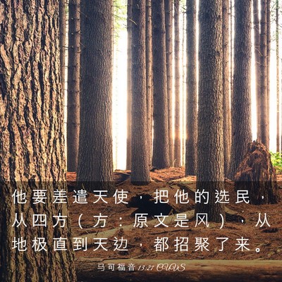 Picture 03 - 马 可 福 音 13:27 CUVS - 他 要 差 遣 天 使 ， 把 他 的 选 民 - Bible Verse Picture