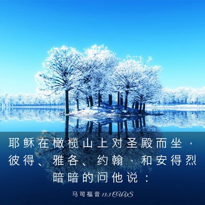 Picture 03 - 马 可 福 音 13:3 CUVS - 耶 稣 在 橄 榄 山 上 对 圣 殿 而 坐 - Bible Verse Picture