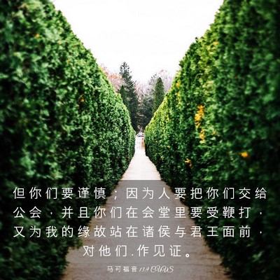 Picture 03 - 马 可 福 音 13:9 CUVS - 但 你 们 要 谨 慎 ； 因 为 人 要 把 - Bible Verse Picture