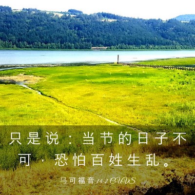 Picture 03 - 马 可 福 音 14:2 CUVS - 只 是 说 ： 当 节 的 日 子 不 可 ， - Bible Verse Picture