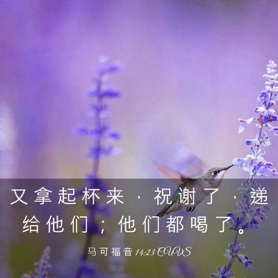 Picture 03 - 马 可 福 音 14:23 CUVS - 又 拿 起 杯 来 ， 祝 谢 了 ， 递 给 - Bible Verse Picture