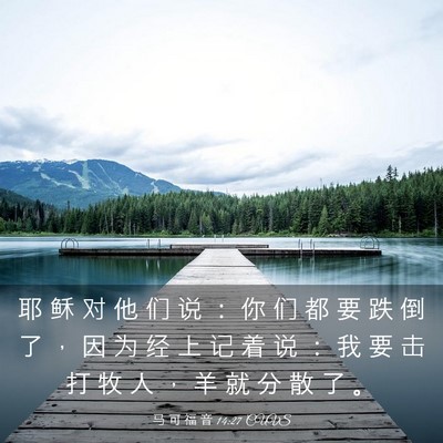 Picture 03 - 马 可 福 音 14:27 CUVS - 耶 稣 对 他 们 说 ： 你 们 都 要 跌 - Bible Verse Picture