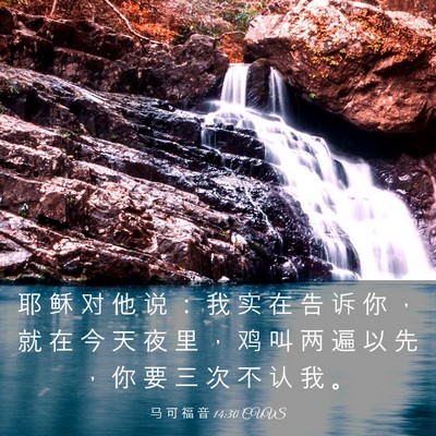 Picture 03 - 马 可 福 音 14:30 CUVS - 耶 稣 对 他 说 ： 我 实 在 告 诉 你 - Bible Verse Picture